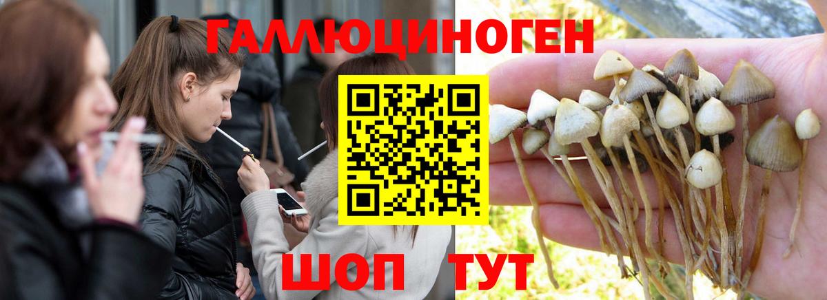 Галлюциногенные грибы мухоморы  Галлюциногенные грибы Psilocybine cubensis  Ливны  Вход с VPN 